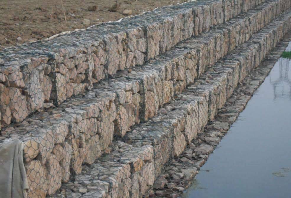 timg2JST23YO.jpg timg2JST23YO.jpg